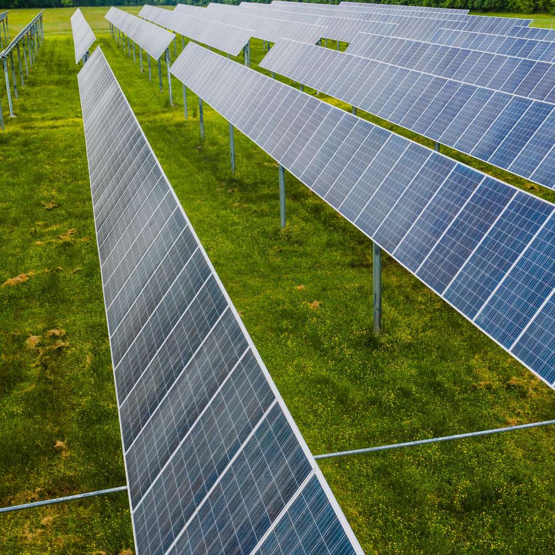 Best Power System Studies Companies